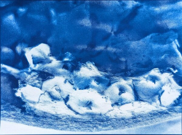 Peels of persistence - Image 4