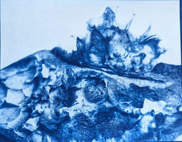 Peels of persistence - Image 5