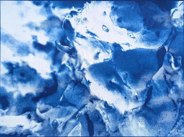 Peels of persistence - Image 6