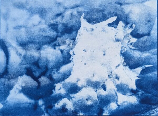Peels of persistence - Image 10