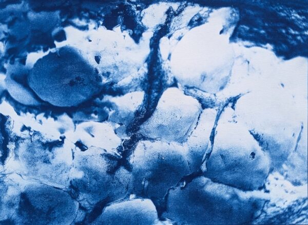 Peels of persistence - Image 12