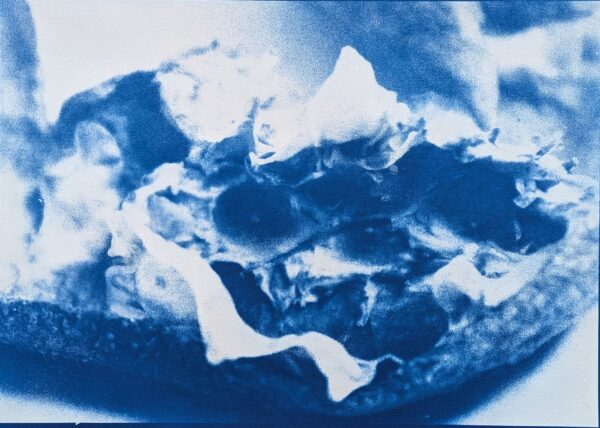Peels of persistence - Image 13