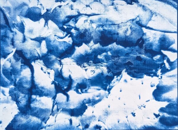 Peels of persistence - Image 15