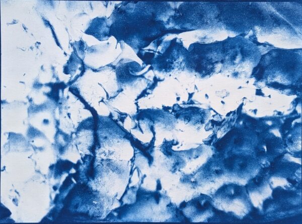 Peels of persistence - Image 16