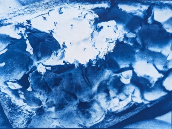 Peels of persistence - Image 22