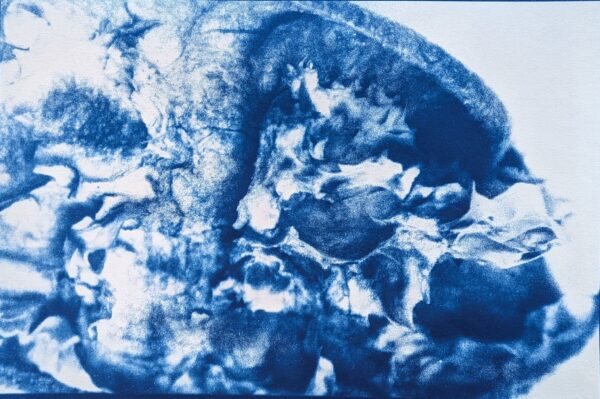 Peels of persistence - Image 23