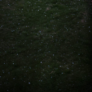 I’m not here (Diptych)