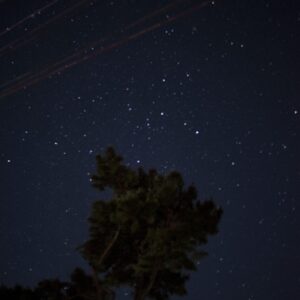 I’m not here (Diptych)