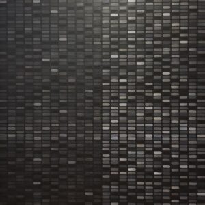 Aditya Krishnamurthy